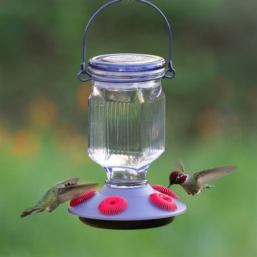 Lavender Field Top-Fill Glass Hummingbird Feeder 16 oz - Berry Hill - Country Living Products