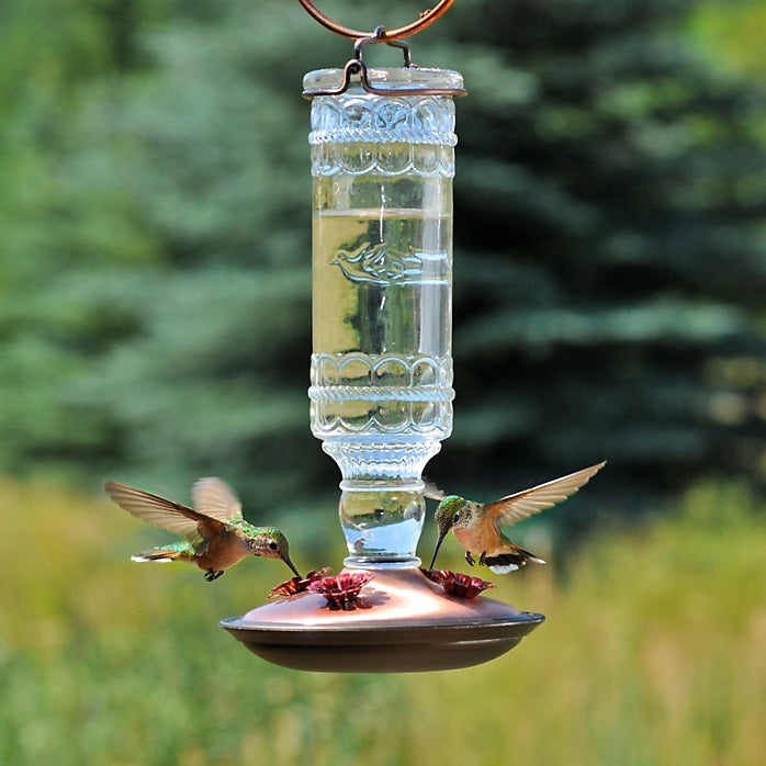 Hummingbird Feeder - Antique Clear Bitters Bottle - Berry Hill - Country Living Products