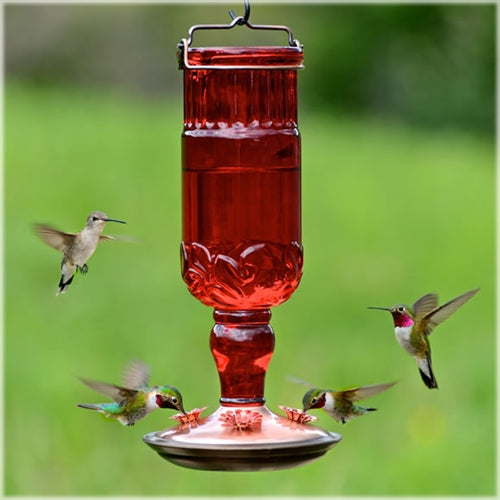 Hummingbird Feeder- 16oz Antique - Red - Berry Hill - Country Living Products