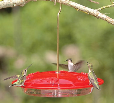 HummZinger Excel Hummingbird Feeder - Berry Hill - Country Living Products