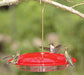 HummZinger Excel Hummingbird Feeder - Berry Hill - Country Living Products