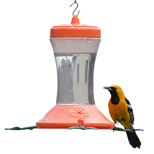Oriole Feeder - No Drip Branch Perch - Berry Hill - Country Living Products