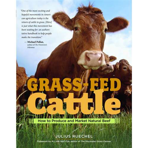 Grass Fed Cattle - Berry Hill - Country Living Products