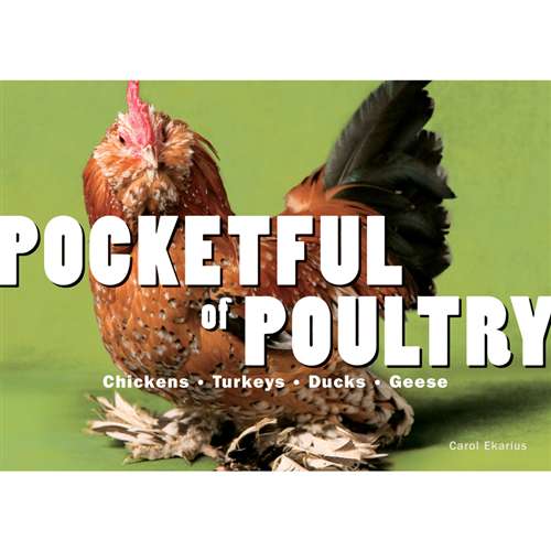Pocketful of Poultry - Berry Hill - Country Living Products