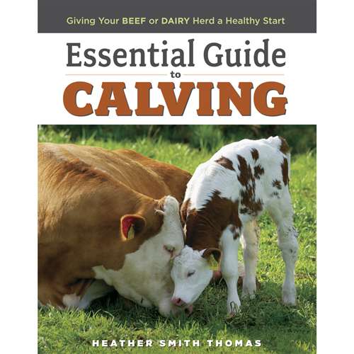 Essential Guide to Calving - Berry Hill - Country Living Products