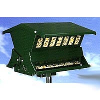 Absolute Squirrel Proof Feeder-Double - Berry Hill - Country Living Products