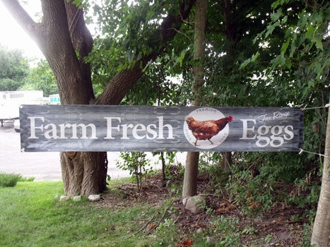 Banner - Farm Fresh Eggs - Berry Hill - Country Living Products
