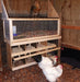 Cozy Coop - Chicken Coop Heater - Berry Hill - Country Living Products