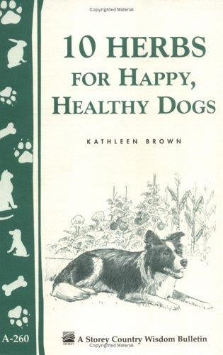 10 Herbs for Happy, Healthy Dogs - Berry Hill - Country Living Products