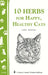 10 Herbs for Happy, Healthy Cats - Berry Hill - Country Living Products