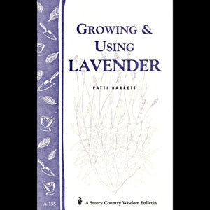 Growing and Using Lavender - Berry Hill - Country Living Products