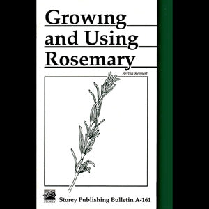 Growing and Using Rosemary - Berry Hill - Country Living Products