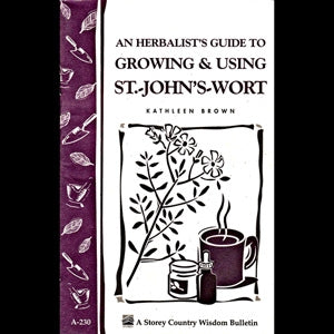 An Herbalist Guide to Growing and Using St.Johns-Wort - Berry Hill - Country Living Products