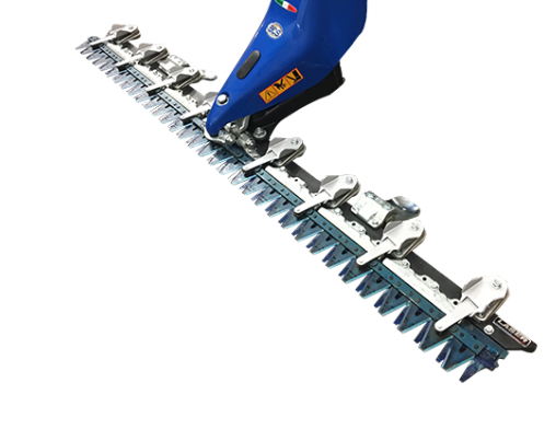 Berry's saw 2024 and mower