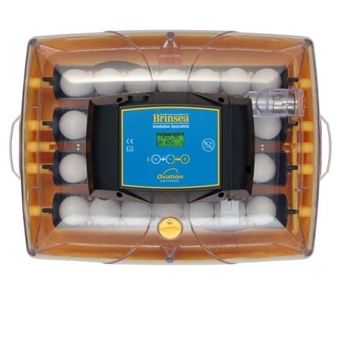 Brinsea Ovation 28 Advance Digital Egg Incubator - Berry Hill - Country Living Products
