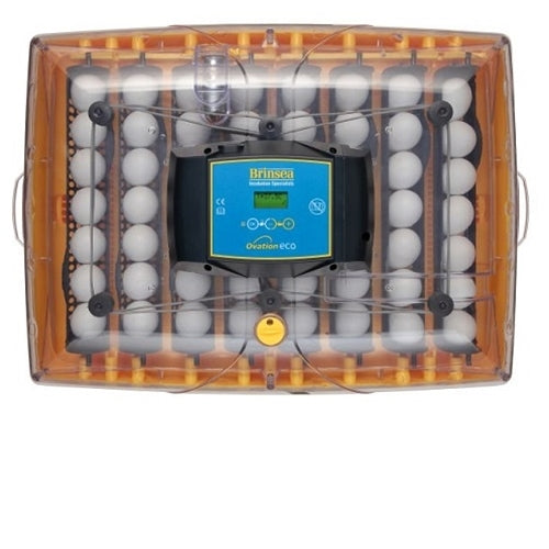 Brinsea Ovation 56 Eco Digital Egg Incubator - Berry Hill - Country Living Products