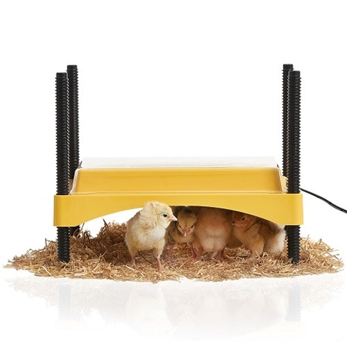 Brinsea EcoGlow Safety 600 Chick Brooder - Berry Hill - Country Living Products