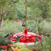 Hummingbird Feeder - Droll Yankee Happy Eight - Berry Hill - Country Living Products