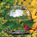 Droll Yankee Feeder - Dorothy's Cardinal Feeder - Berry Hill - Country Living Products