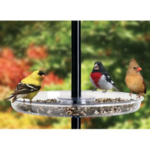 Droll Yankee Universal Seed Tray - Berry Hill - Country Living Products
