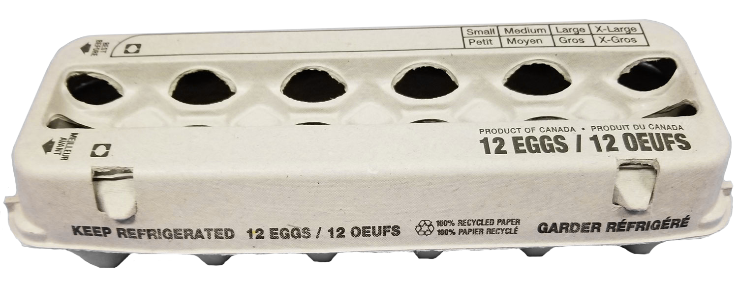 Egg carton Open Top 1 dozen capacity 100pcs — Berry Hill