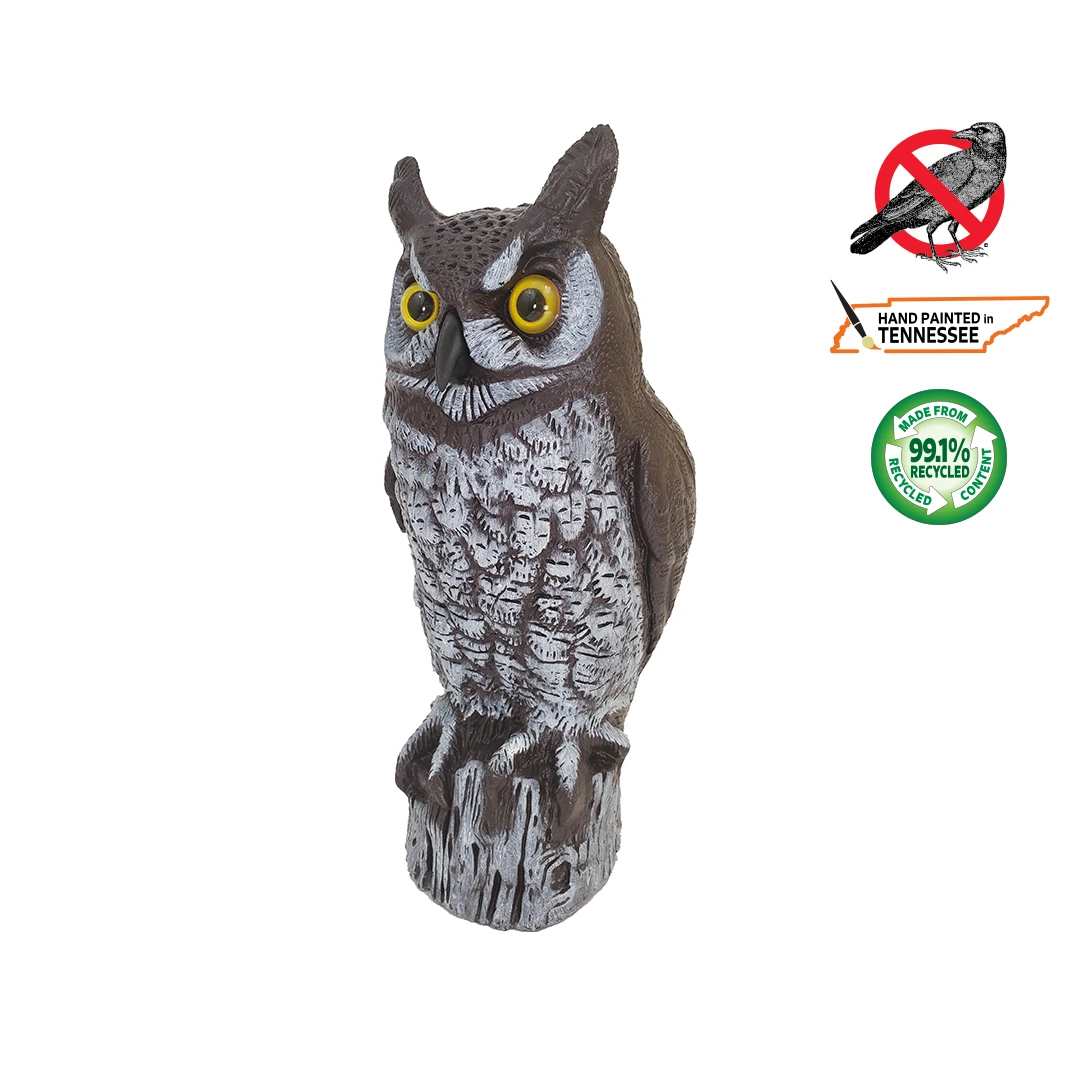 Great Horned Owl — Berry Hill