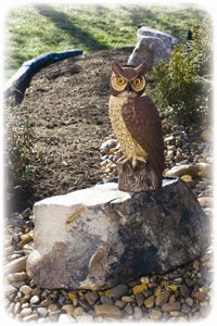 Owl- Solar Rotating Head Owl - Berry Hill - Country Living Products
