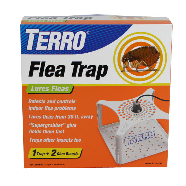 Ultimate Flea Trap