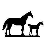 Mare & Colt Weathervane - Berry Hill - Country Living Products