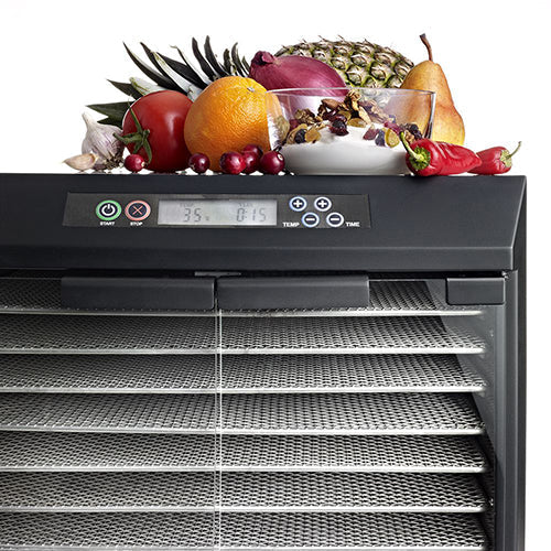 Excalibur 10 tray Stainless Steel Dehydrator